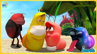 LARVA FULL EPISODE: LAND OF FREEDOM | CARTOON MOVIES FOR LIFE | THE BEST OF CARTOON BOX