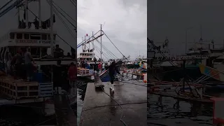 GenSan Fish Port 🇵🇭 #gensan #philippines #pilipinas #travel #trending #viral #viralvideo #trend