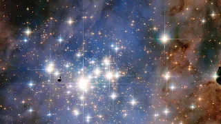 "The stars are ours!" by Don Kurtz: 5th Annual Robert Grosseteste Lecture in Astrophysics