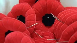 Dollarama disappoints N.S. Legion for rejecting poppy trays