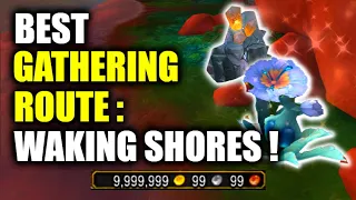 MAKE Tons of Gold w/ Mining & Herbalism! Best Route In Waking Shores! WoW Dragonflight Goldfarming