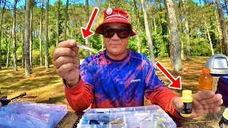 The ULTIMATE Bank Fishing Setup!!! Catch ANY Fish With THIS ONE Setup!