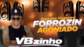 JOGA PRO VAQUEIRO - FORROZIN AGONIADO @vbzinhooficial