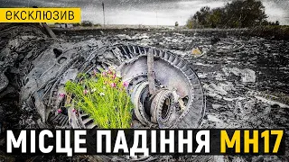 Сьома річниця: Як виглядає зараз місце падіння літака MH17