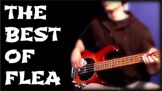 TOP 10 FLEA BASS LINES