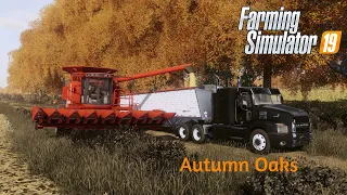 Harvesting Fall Corn On Autumn Oaks | Farming Simulator 19