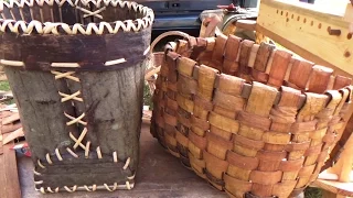 Harvesting Tree Bark For Baskets etc