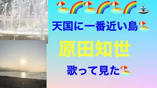 原田知世/天国に一番近い島⛲️🏖🌈✨✨