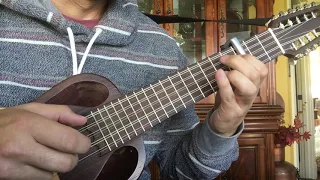 Coyita  - Ronroco cover of Gustavo Santaolalla by Zender