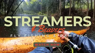 Streamers and Beavers |Allegheny National Forest| Fly Fishing & Camping