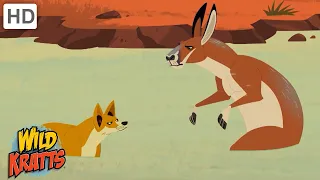 Wild Kratts | Australian Animals | Creatures from Down Under