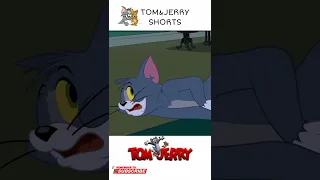 Tom and Jerry funny Clips 🤣#shorts