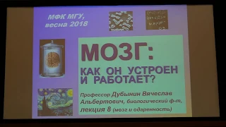 Вячеслав Дубынин, МФК весна 2018, лекция 8, мозг и одаренность