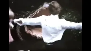 Alligator (1980) - Trailer