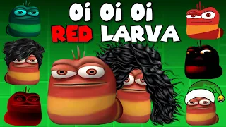 Oi Oi Oi Red Larva - Different versions