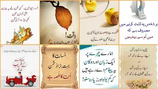 Urdu Quotes About Life | Islamic Quotes | Golden Deep Words | Urdu Quotes Part 6