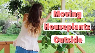 Moving Houseplants Outdoors for Summer! | How To Move Indoor Plants Outdoors!