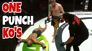 The Most BRUTAL MMA ONE PUNCH KNOCKOUTS You Surely Don't Like To Miss