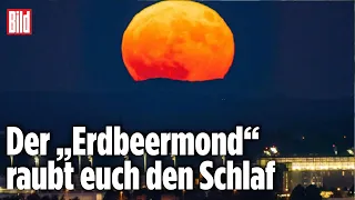 Spektakuläres Natur-Phänomen: Der „Supermond“ steigt auf