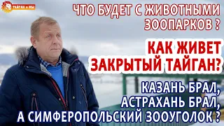 Животные зоопарков - КАЗНИТЬ нельзя ПОМИЛОВАТЬ. Что ждет закрытый Тайган?