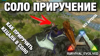 ГАЙД КАК ПРИРУЧИТЬ КЕЦАЛЯ В СОЛО В ARK SURVIVAL EVOLVED MOBILE! КАК ПРИРУЧИТЬ КЕТЦАЛЬКОАТОЛЯ ОДНОМУ