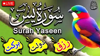 Surah Yaseen Live | Yasin Sharif | Surah Yasin With Arabic HD text | Episode 575