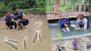 Harvest hundreds of fish, Return to the farm, Survive | Linh's Life