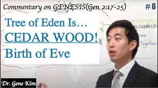 Tree of Eden Is...CEDAR WOOD! Birth of Eve (Genesis 2:17-25) | Dr. Gene Kim