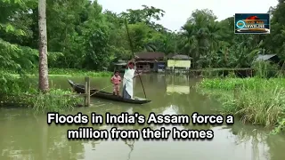 Floods in India's Assam force a million from their homes - India News