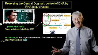 12.1  Central Dogma of Molecular Biology