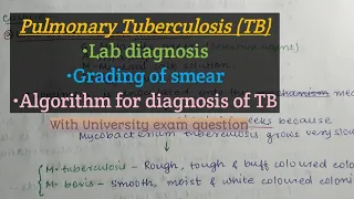 Pulmonary Tuberculosis | TB lab diagnosis | Diagnostic algorithm for TB | Notes | M For Microbiology