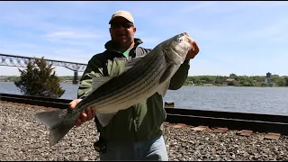 Catching a Striper! | Striped Bass Shore Fishing - Part 4