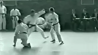 Nihon Tai-Jitsu No Kata Nidan - Philippe Galais (1996)