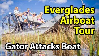 Everglades Airboat Tour | Extreme Alligator Encounter Ensues