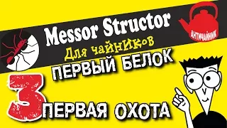 Первые муравьи. Messor structor. Первый белок - первая охота!