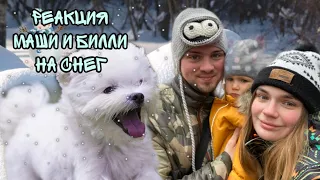 Один день в семье Ляпота ТВ! Первый снег глазами щенка и малышки Маруси