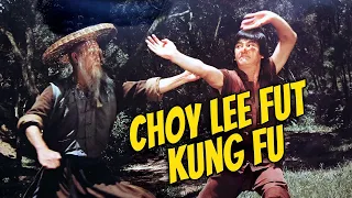 Wu Tang Collection - Choy Lee Fut Kung Fu (subtítulos en español)