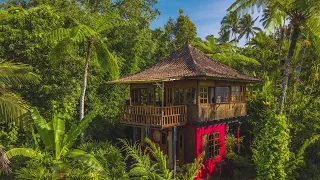 Jungle Bungalow | Sarinbuana Eco Lodge, Bali