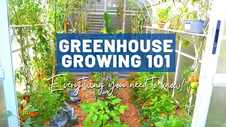 Greenhouse Growing Basics 101 | For beginners and intermediate | Design, Pros and cons, Quirks, Tips