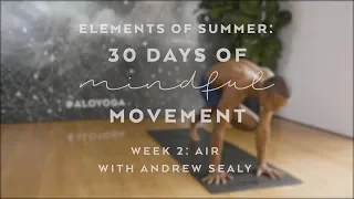 Effervescent Yoga Flow with Andrew Sealy - Elements of Summer: 30 Days of Mindful Movement