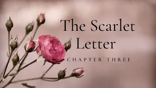 The Scarlet Letter Chapter 3 - Commentary