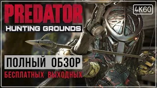 [ОБЗОР] Predator: Hunting Grounds - Тот ли ХИЩНИК, которого мы ждали? Внимание к деталям.