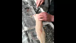 Pike cleaning by Po Part 1