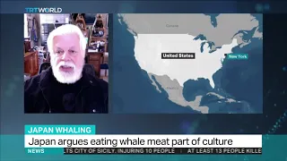 JAPAN WHALING :interview with Captain Paul Watson