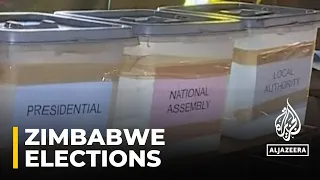 Zimbabwe elections: Polls open in presidential & parliamentary vote