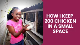 How I keep 200 Chicken in a Small space#chicken coop