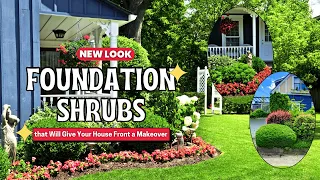 7 Foundation Shrubs That Will Give Your House Front a Makeover 🍃🏠