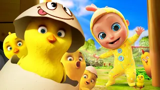 My Little Bee + 🐤Little Chicks and more Kids Songs and Nursery Rhymes - LooLoo Kids