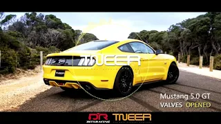 FORD MUSTANG GT 5.0 X TNEER EXHAUST | AMERICAN MUSCLE V8