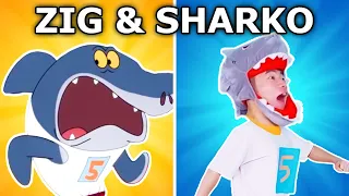 Sharko Got Real Legs | Zig & Sharko Parody | Rainbow Parody